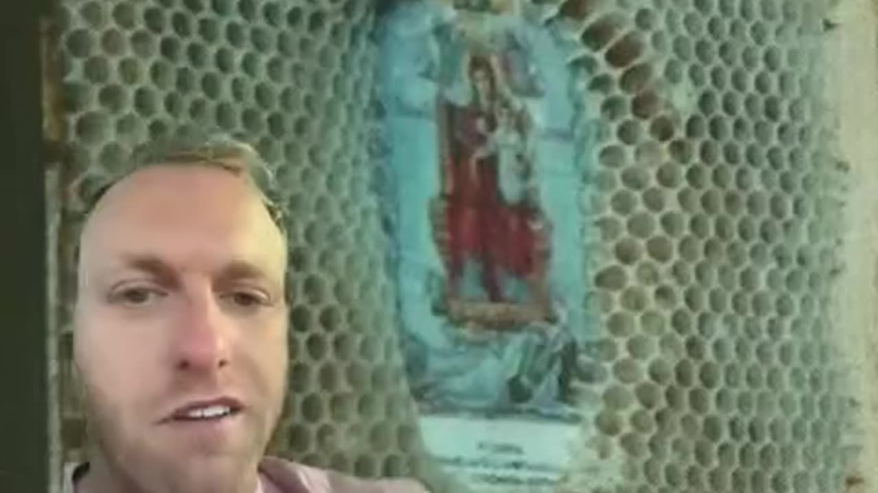 The Wonderful World of Bees and their Beehaviour