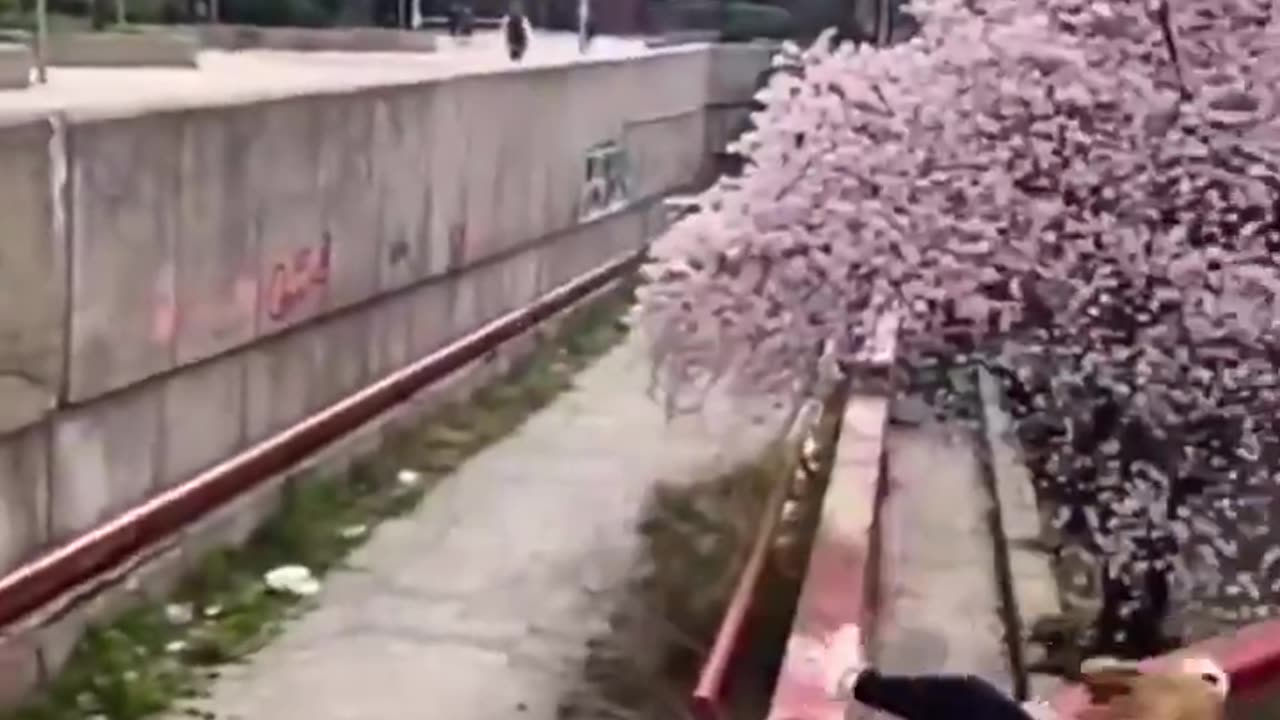 Parkour Short