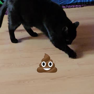 Zakopywanie niewidzialnej kupy [Rumble Short]