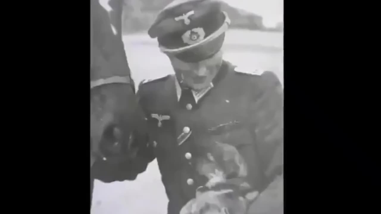 Animals In The Third Reich