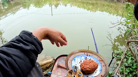 Lakeside Vlog The Hunt for Largemouth Bass