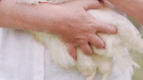 Man Love for Animal #animal #cute #trending #viralshort #shortvideo