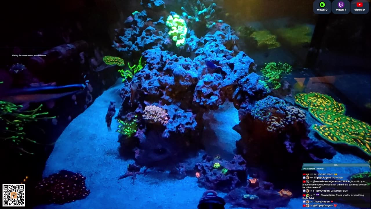 24/7 Real Live Reef Stream
