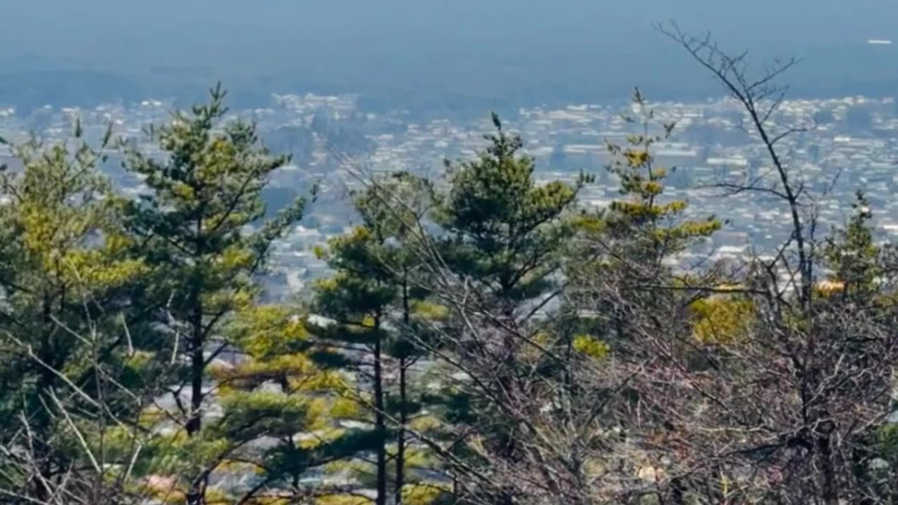 Lake Abbe: Djibouti’s Adventure