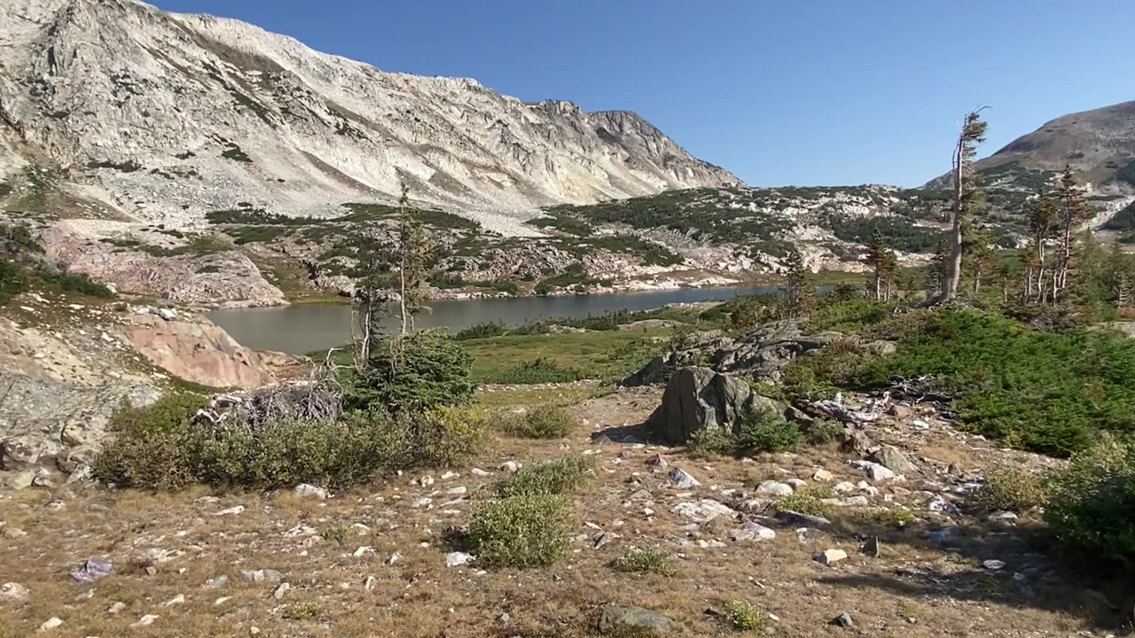 Medicine Bow and Sugarloaf