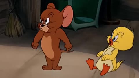 tom and jerry