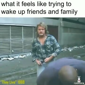 Put on the dam glasses 😎🐸