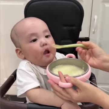 Mothers Are Great Scientists🤣🤣 They Invented Multiple Techniques To Feed Their Babies 😲😄🔥