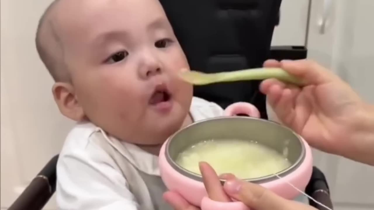 Mothers Are Great Scientists🤣🤣 They Invented Multiple Techniques To Feed Their Babies 😲😄🔥