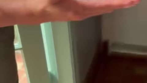 Florida Woman Questioned by Police for Criticizing Mayor Online