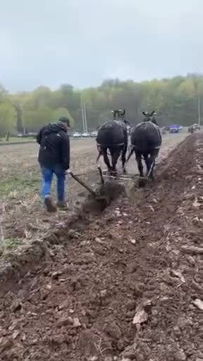 Old Fashioned Plowing - Satisfying to watch