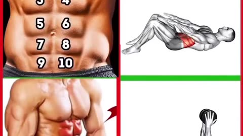 Best 6 Back Workout At