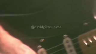 'Echoes' live at the Royal Albert Hall.