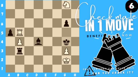 Can you checkmate in 1 move? (P.10) (White to play)♟️