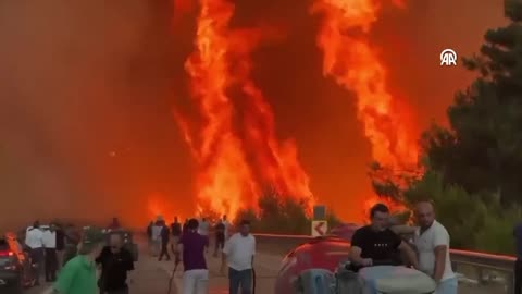 Apocalyptic scenes in Turkey as wildfires reach Bursa