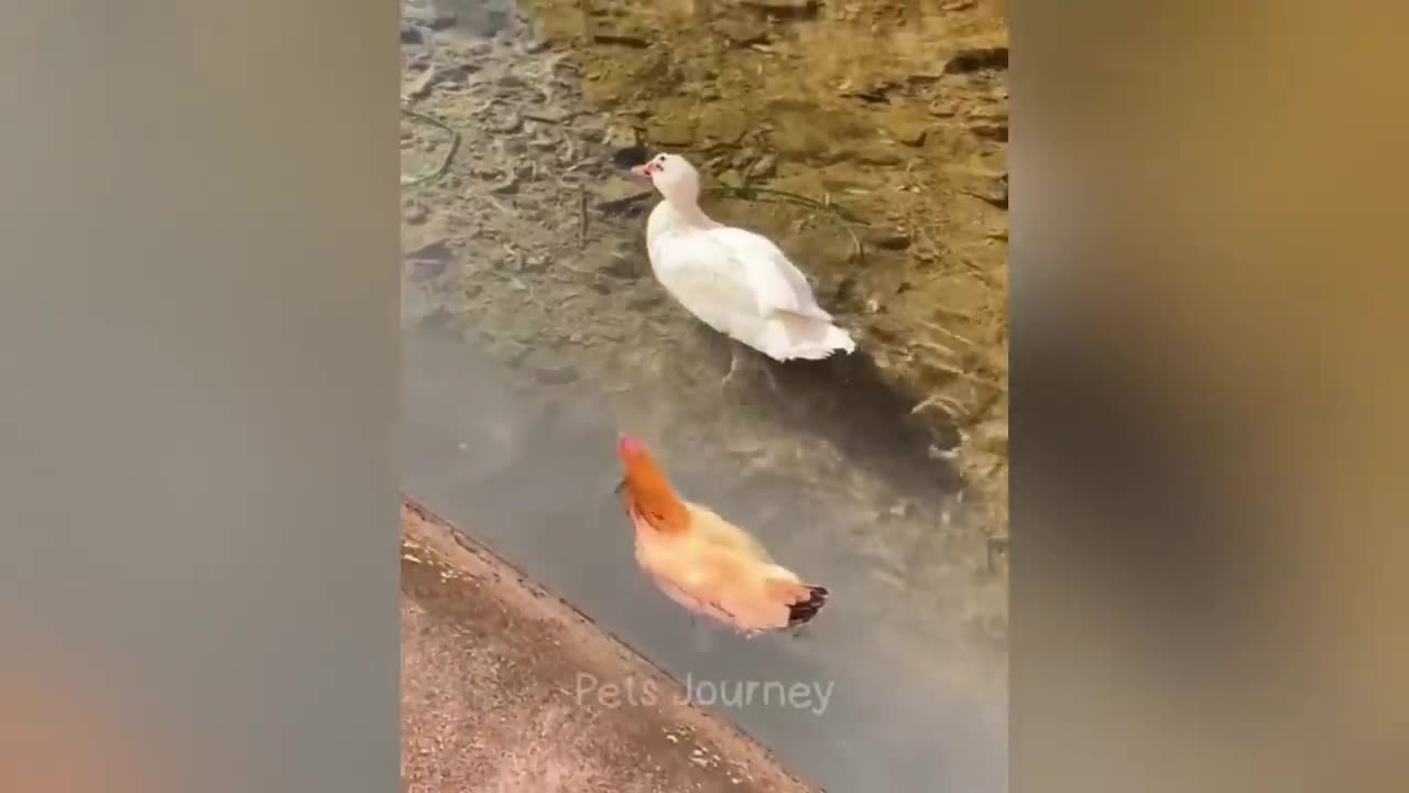 SOOOOOOOOOO FUNNY