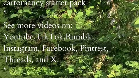 Unlock Promises | Path and Tarot Reading