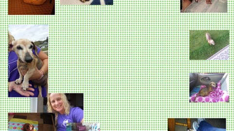 Half Moon Among the Stars, A Poetry Journey