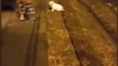 😨 It aint got no torso #ghostlytoksa #demon #creepytok #horror #creepyvideos... | TheHauntingHour