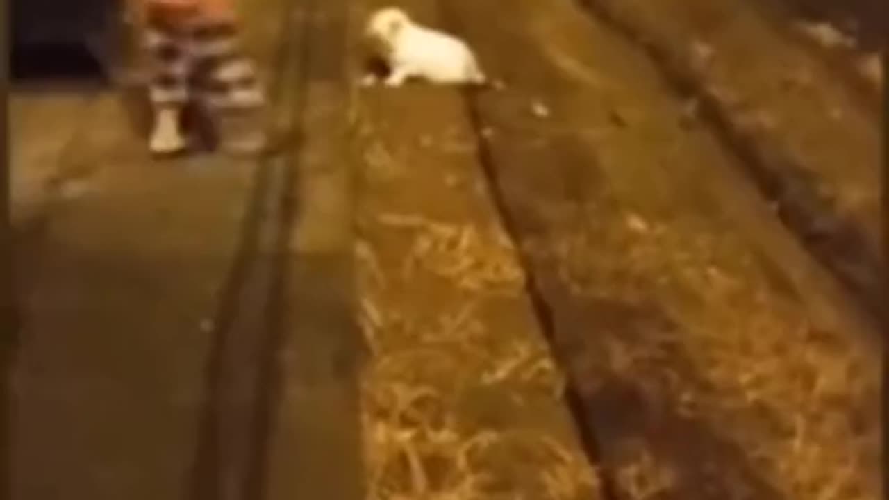 😨 It aint got no torso #ghostlytoksa #demon #creepytok #horror #creepyvideos... | TheHauntingHour