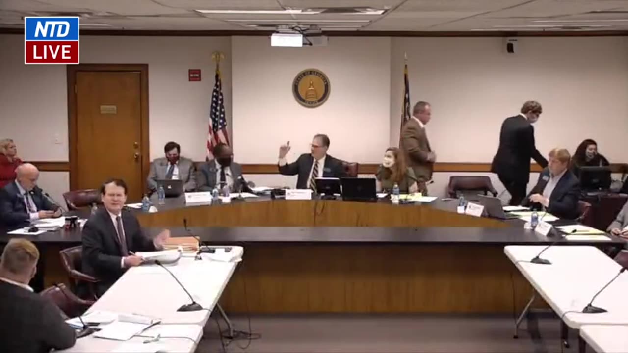 2020 ELECTION AUDITOR (GEORGIA HEARING)