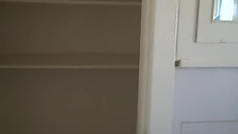 CHEAP PROPERTY IN DETROIT CLEMENS ST. THE SHEA SHOW