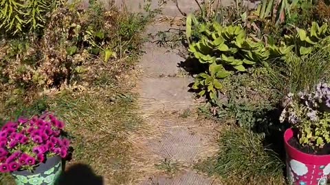 😂🍽️ Wait For It... When It's Supper Time! | FunFM