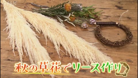 趣味の園芸 山本美月 グリーンサムへの12か月（8）「花生け＆リース作り」