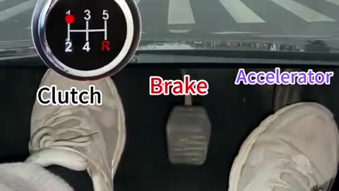 How To Drive A Car