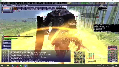 Playing Final Fantasy XI Online