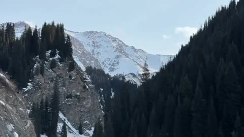 Saving a Forgotten Cabin in the Mountains