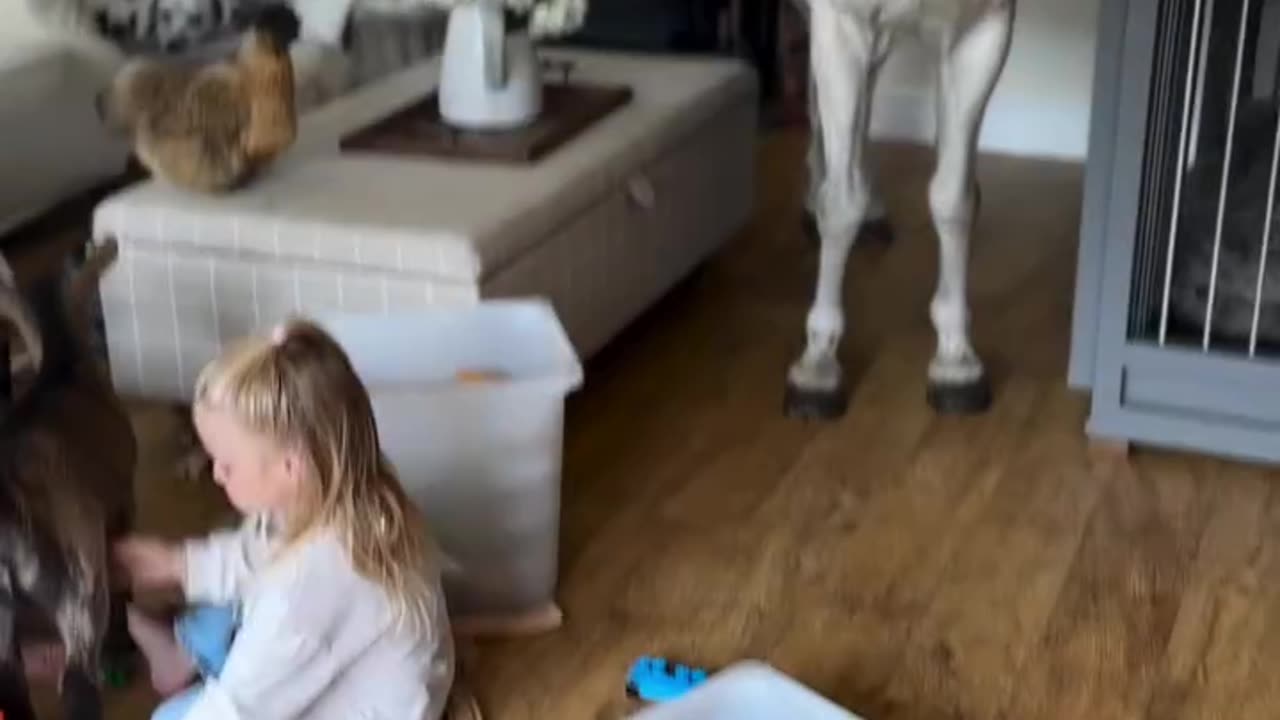 Dat is één grote, gelukkige familie.