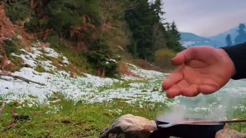 If you are watching this video, know that God has made you the guardian angel of a hungry cat.