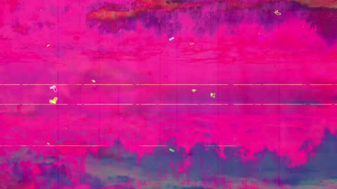 untitled 045