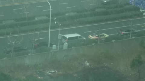 Cold wave brings rare snowfall to Shanghai