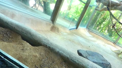 First look into one of the exhibits