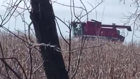 Ukrainian Artillery Firing with a Farmer Harvesting Wheat in the Background(In Ukraine, The Land Farms You)