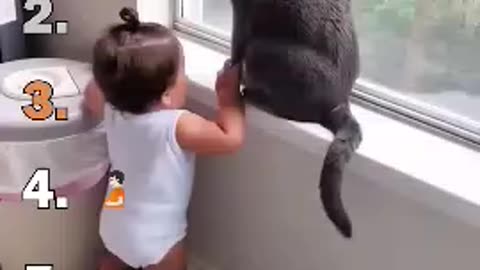 Top ranking cat speak funny videos