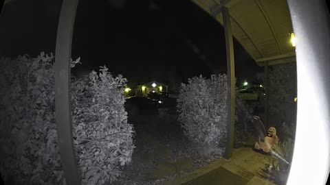 😨👽 What Are These Mysterious Figures? | TheHauntingHour