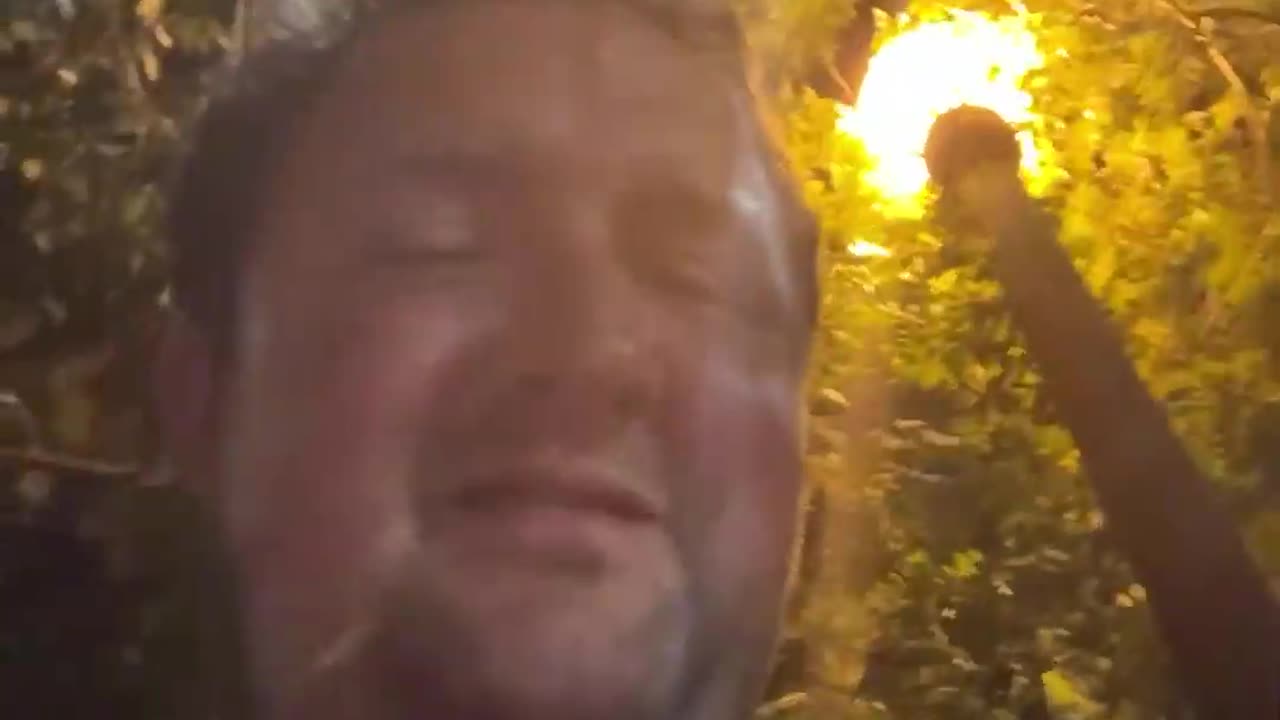 Freakout time Andy Smith 8/24/25