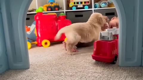 puppy love kids
