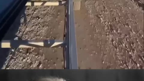 Viral video speed example