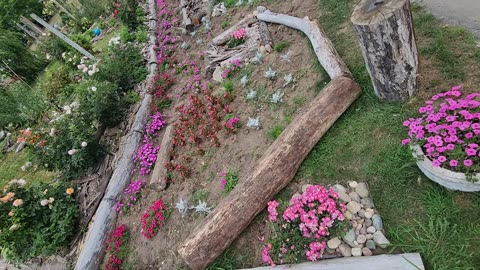 Just a moment for the Western Michigan Wastelands Cicada's beautiful mating call traffic
