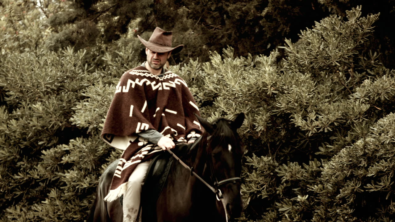 "REVOLVER RONIN" Original music