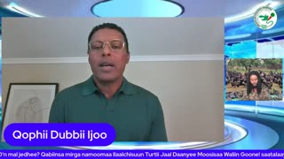 Qophii Dubbii Ijoo ONM-ABO Hagayya 4-2025 itti dhiyaadhaa!