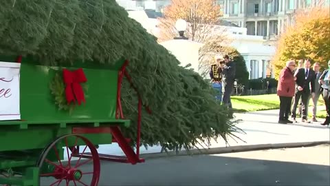 First lady Melania Trump welcomes White House Christmas Tree((11,24,2025))