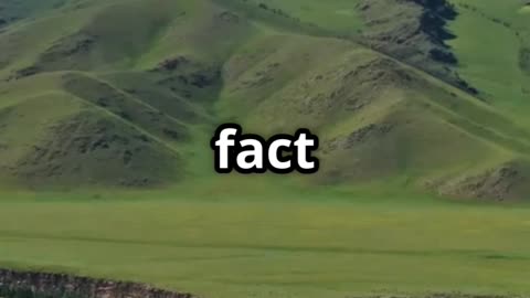 Things You Didn't Know About Genghis Khan