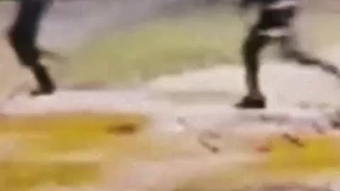 Violent child offenders to face life in jail in Victorian youth crime crackdown