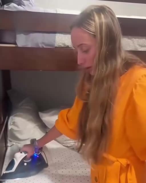 Ironing out the bedbugs