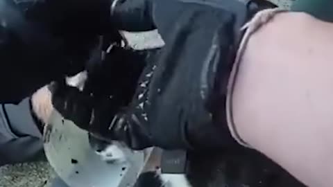 Police Rescue Cat with Its Head Stuck in a Plastic Jar